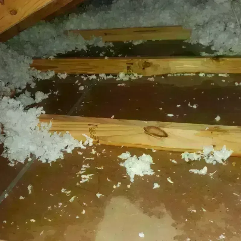 Attic Water Damage in Van Buren County, AR